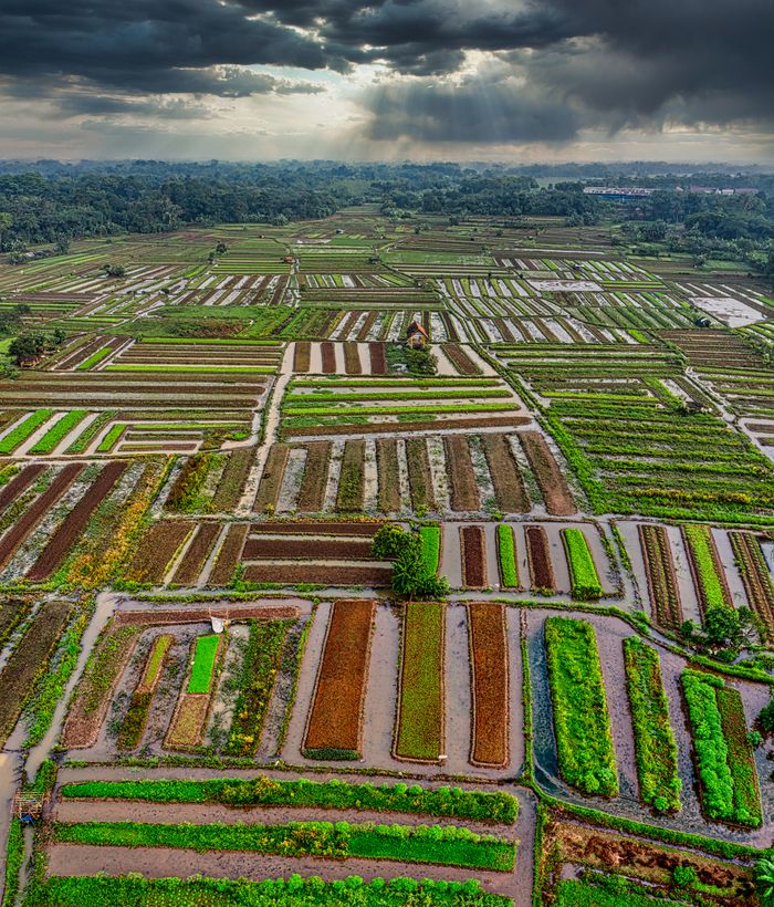 Services Dramatic aerial view of agricultural fields in Banten, Indonesia under a cloudy sky.